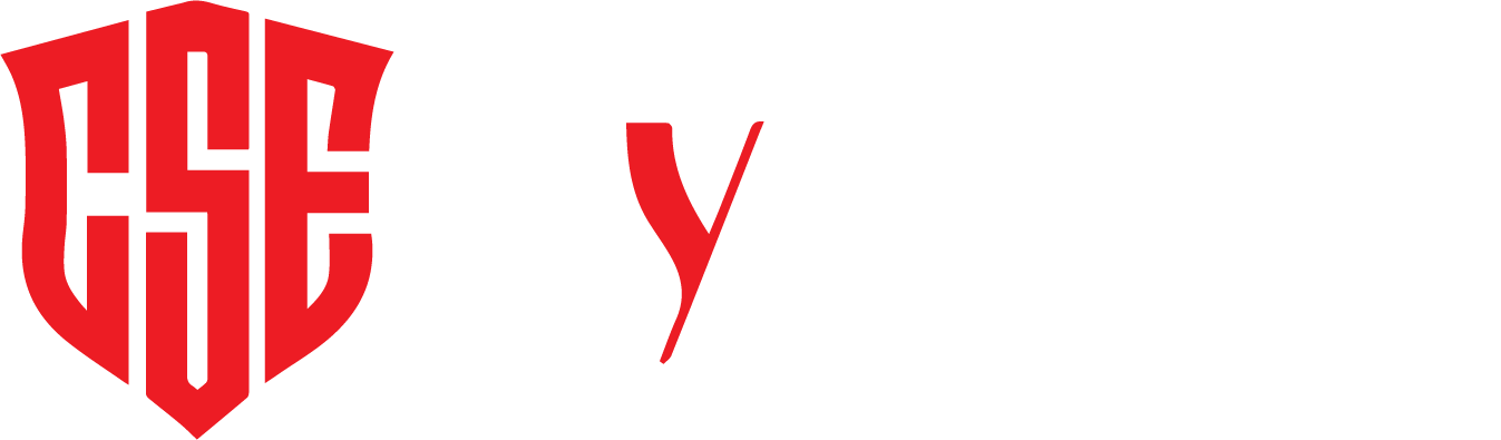 CSE Dynamo